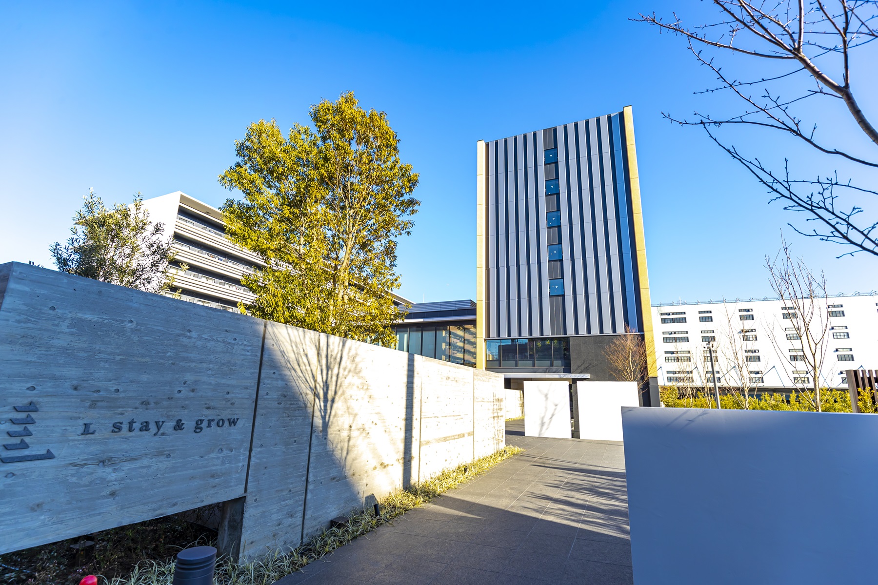 Ｌ　ｓｔａｙ＆ｇｒｏｗ南砂町 - 写真 53