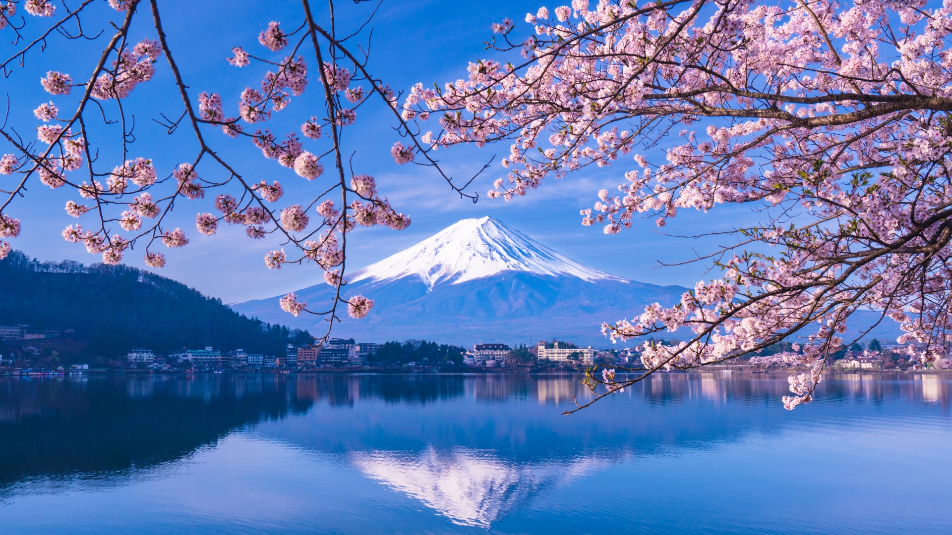 春の富士山
