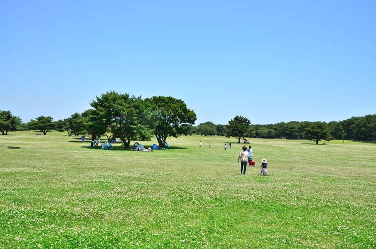 大草原ゾーン♪国営ひたち海浜公園！