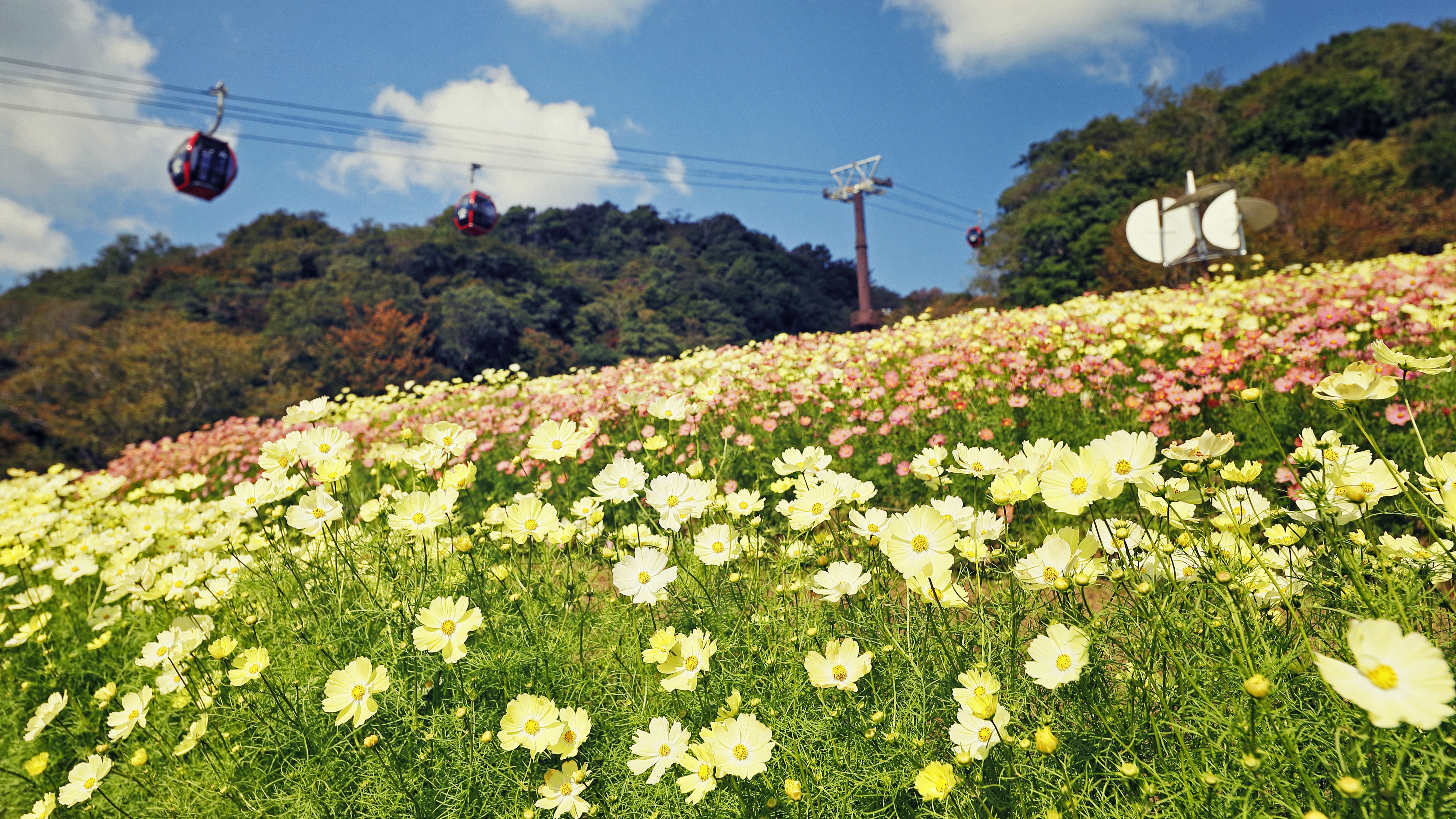 神戸布引ハーブ園／ロープウェイ