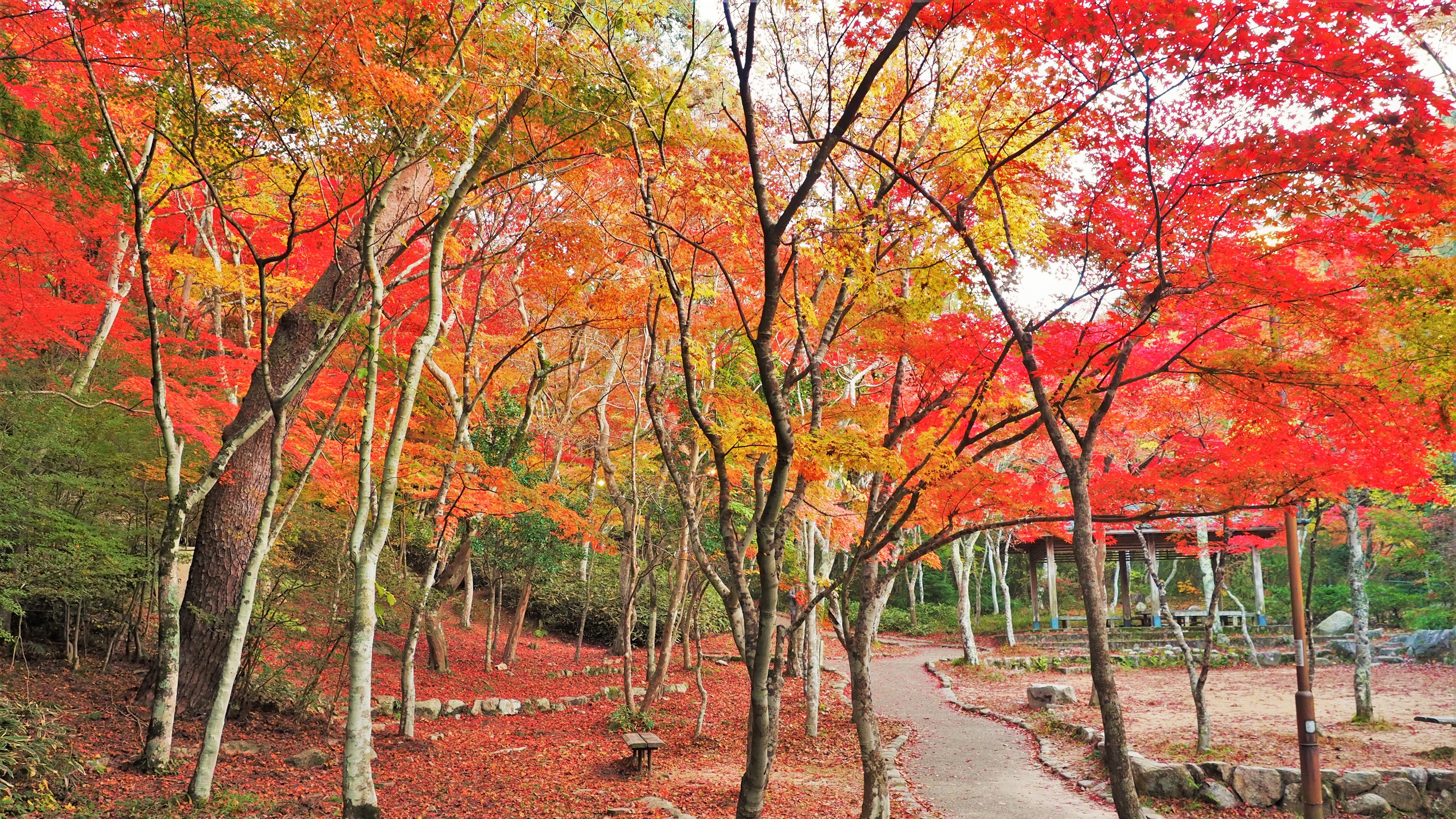 HOTEL メリケンポート神戸元町 - 写真 128