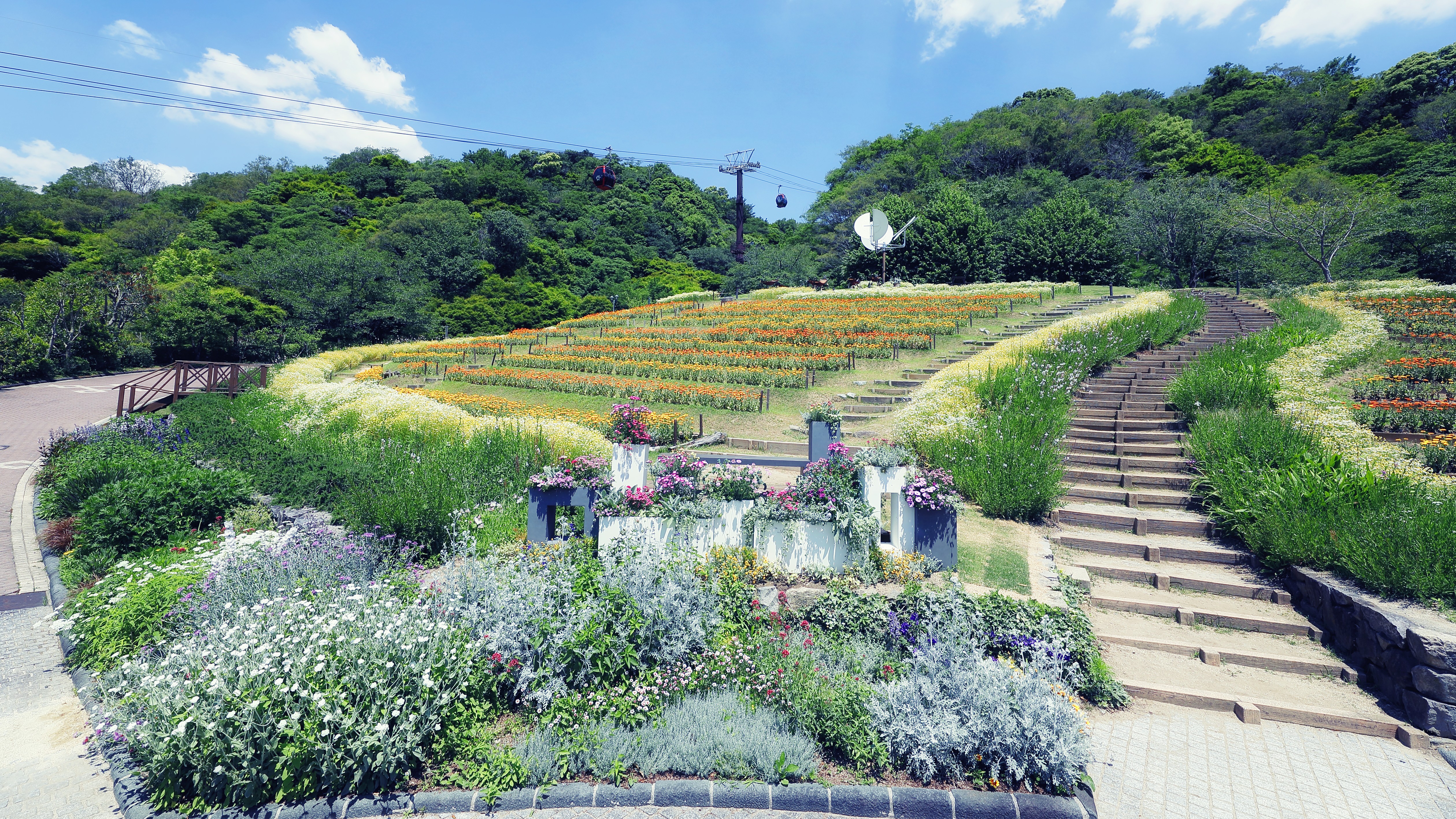 神戸布引ハーブ園／ロープウェイ
