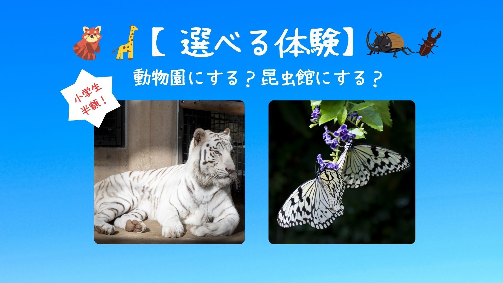 【小学生半額！】選べる体験チケット付 動物園 or 昆虫館プラン★ナイトZOOデイあり＜和朝食付き＞