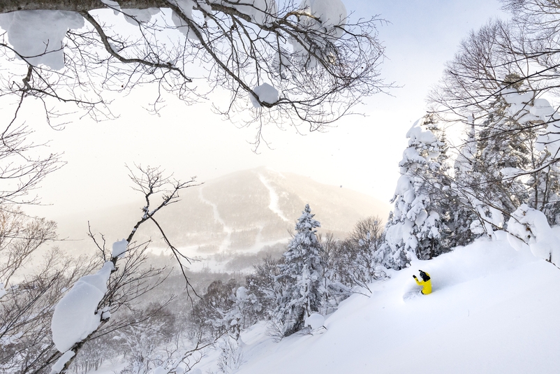 【安比高原スキー場リフト券/ホテル朝食付き】12時チェックアウトでゆったり冬旅プラン