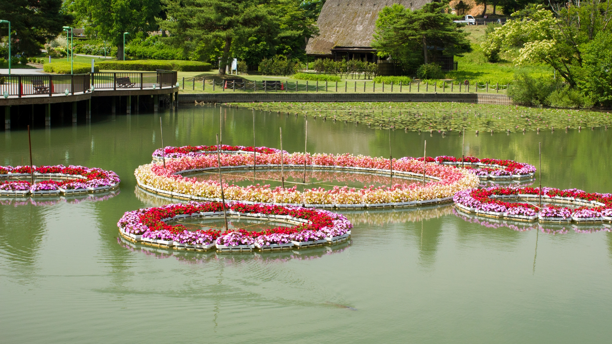 【当館から車で13分】県民公園太閤山ランド