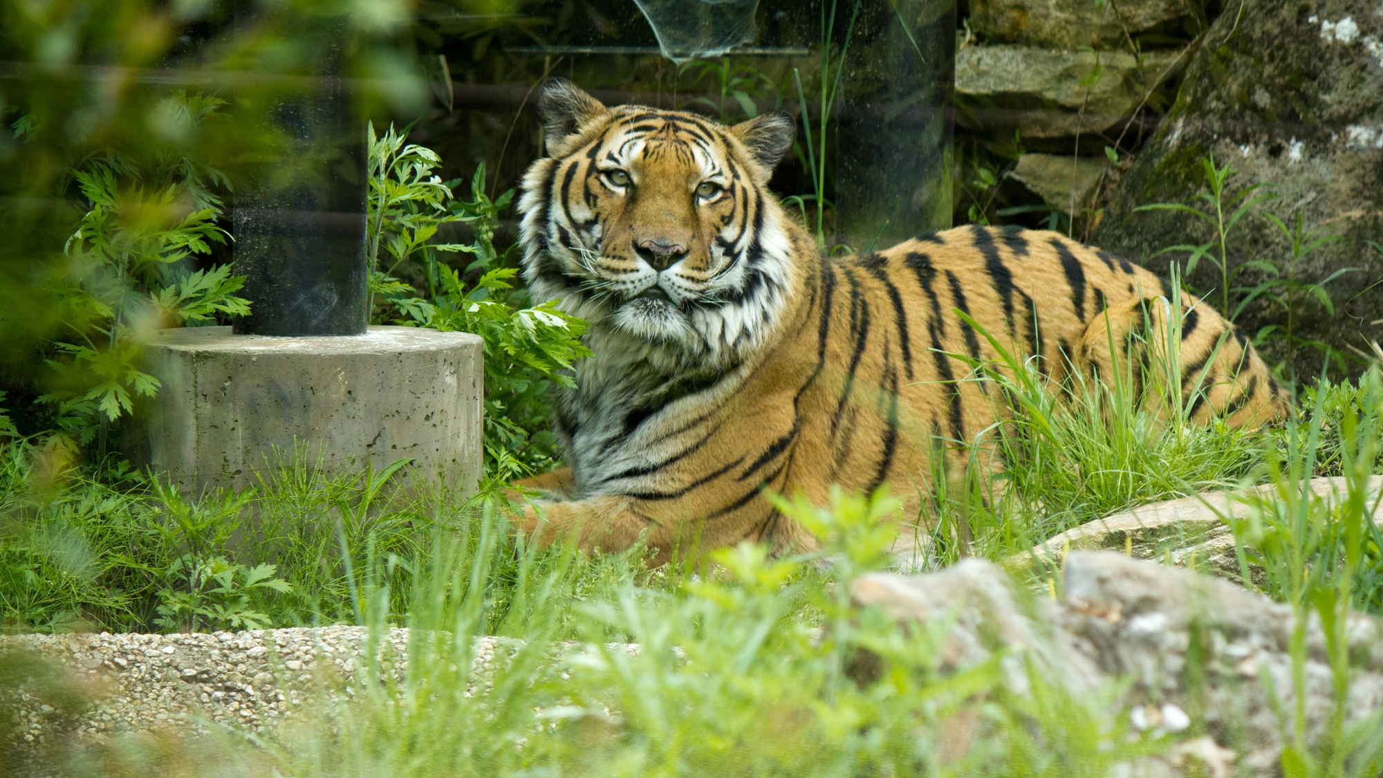 【いしかわ動物園】当館から車で16分