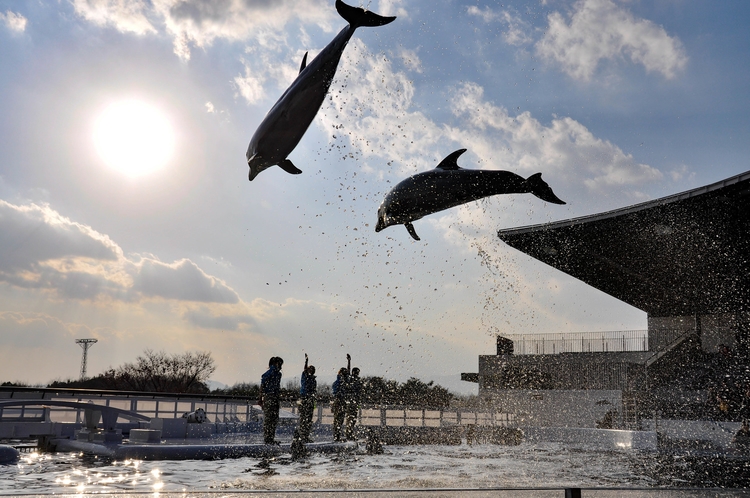 京都水族館