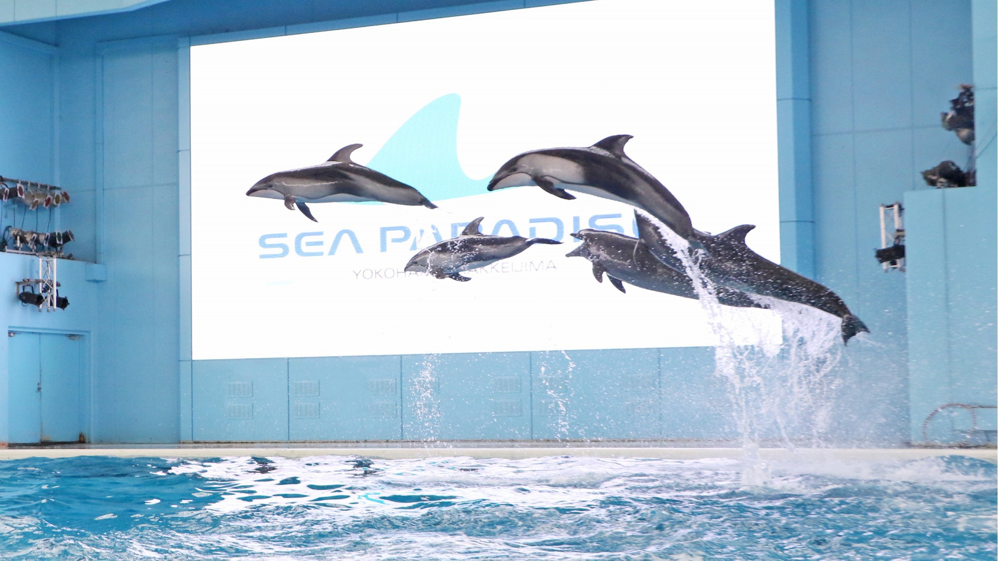 【横浜・八景島シーパラダイス】4つの水族館で一日遊べる！アクアリゾーツパス付（和洋中朝食バイキング）