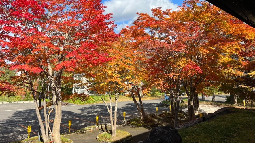 大自然に囲まれ、秋の紅葉もとても見ごたえバッチリです！
