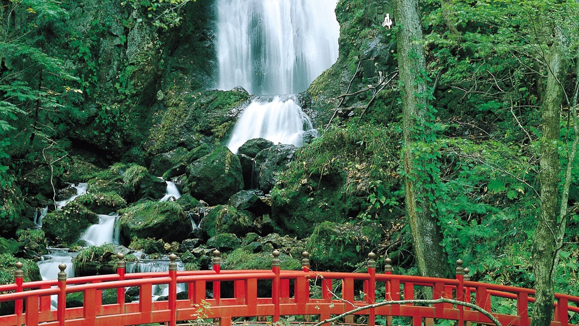 周辺観光│不動の滝（車で約30分）