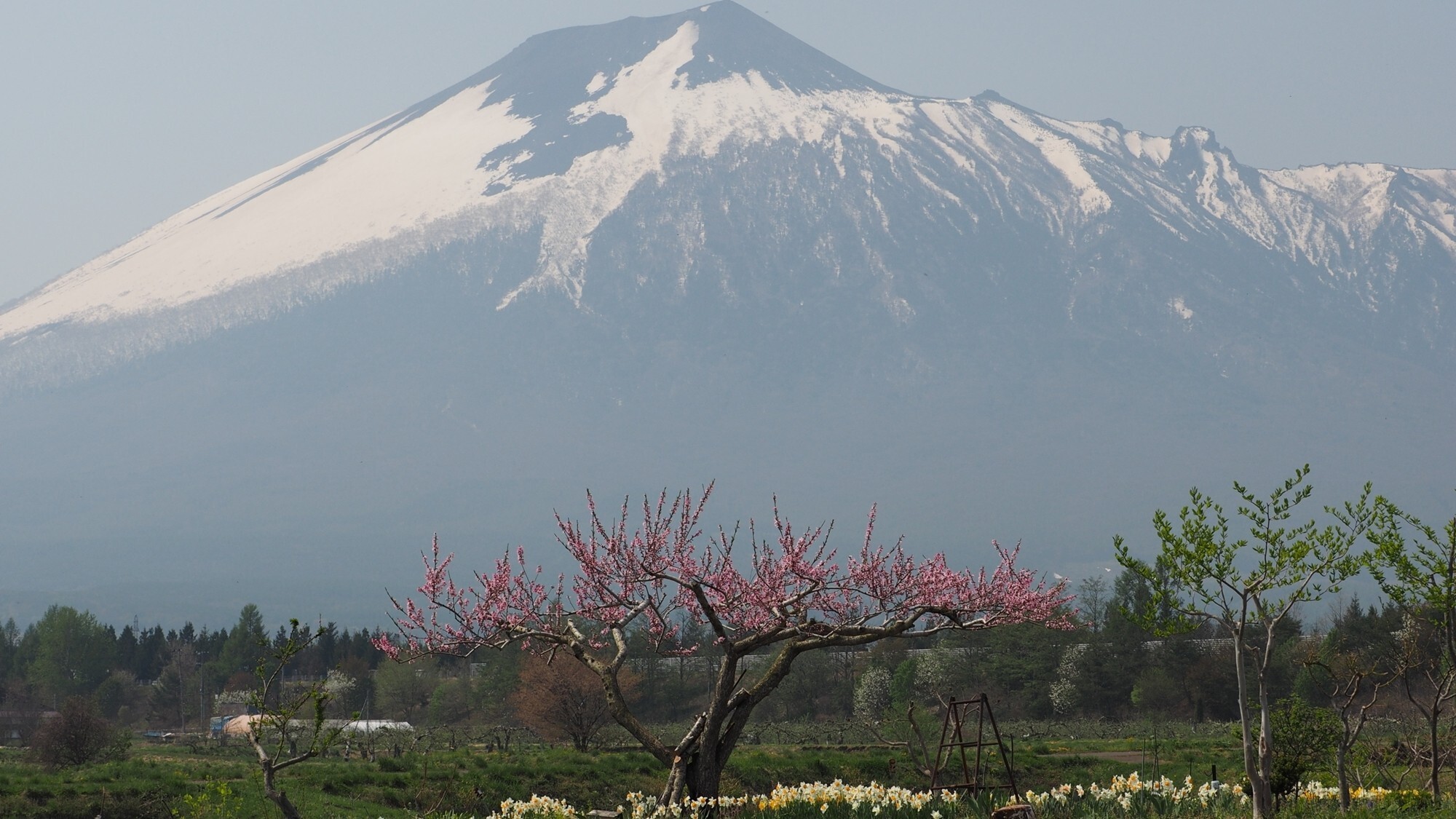 周辺観光│岩手山（車で約50分）