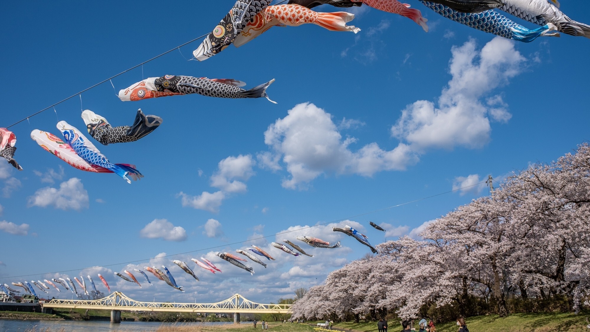 周辺観光│北上展勝地（車で約1時間20分）