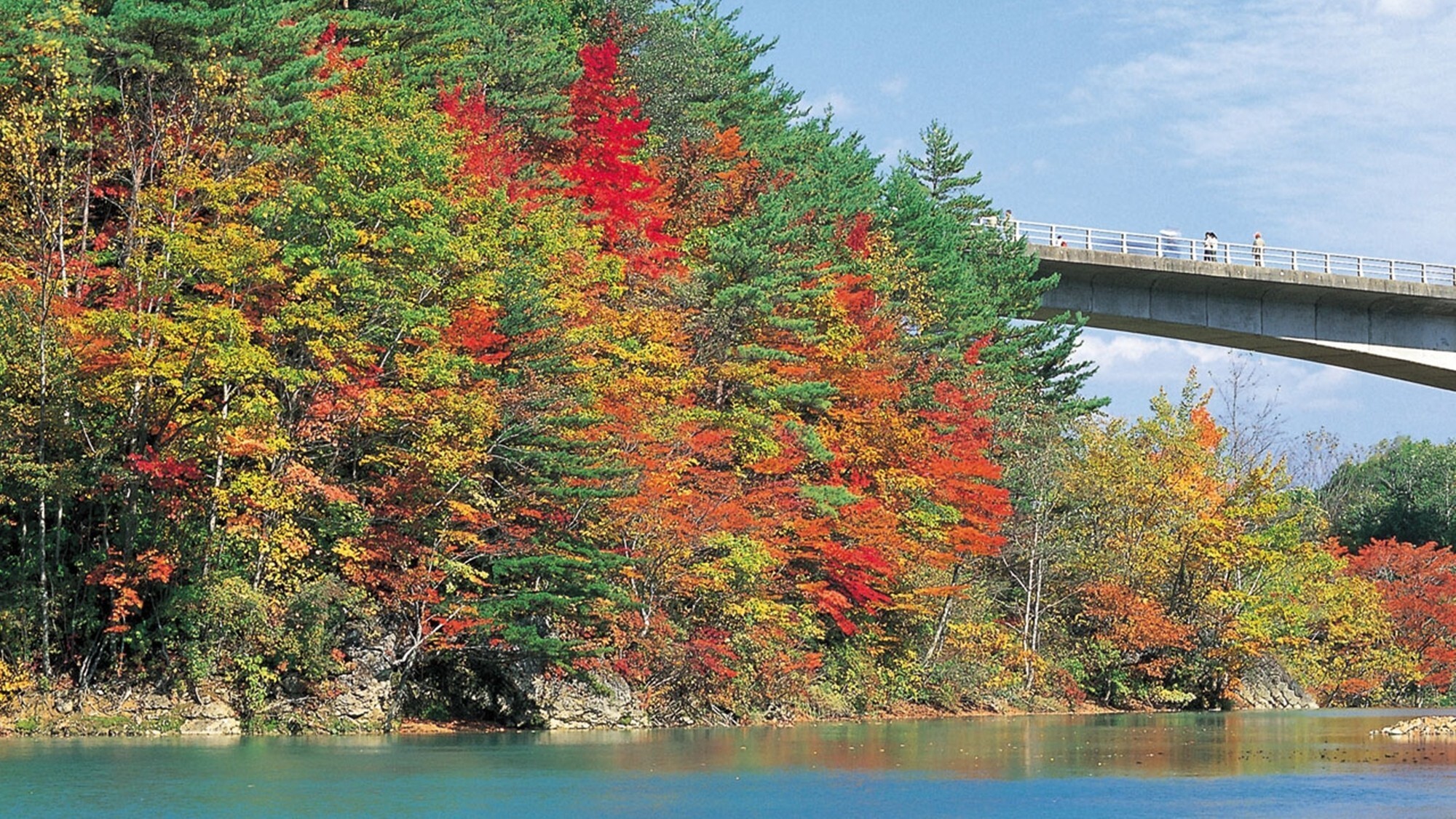 周辺観光│森の大橋（車で約20分）