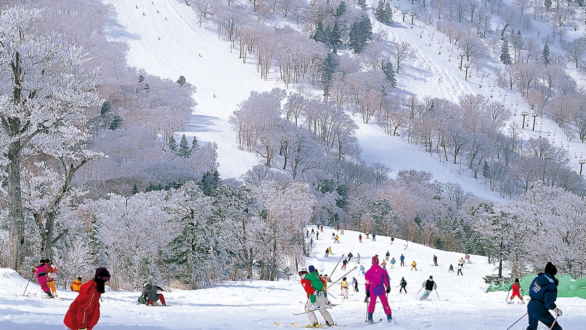 周辺観光│安比高原スキー場（車で約5分）