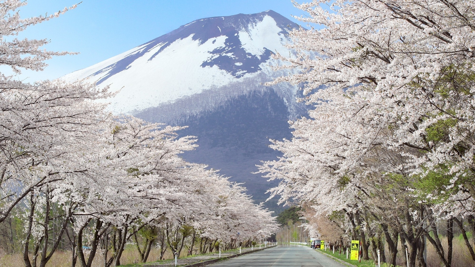 周辺観光│八幡平（車で約25分）