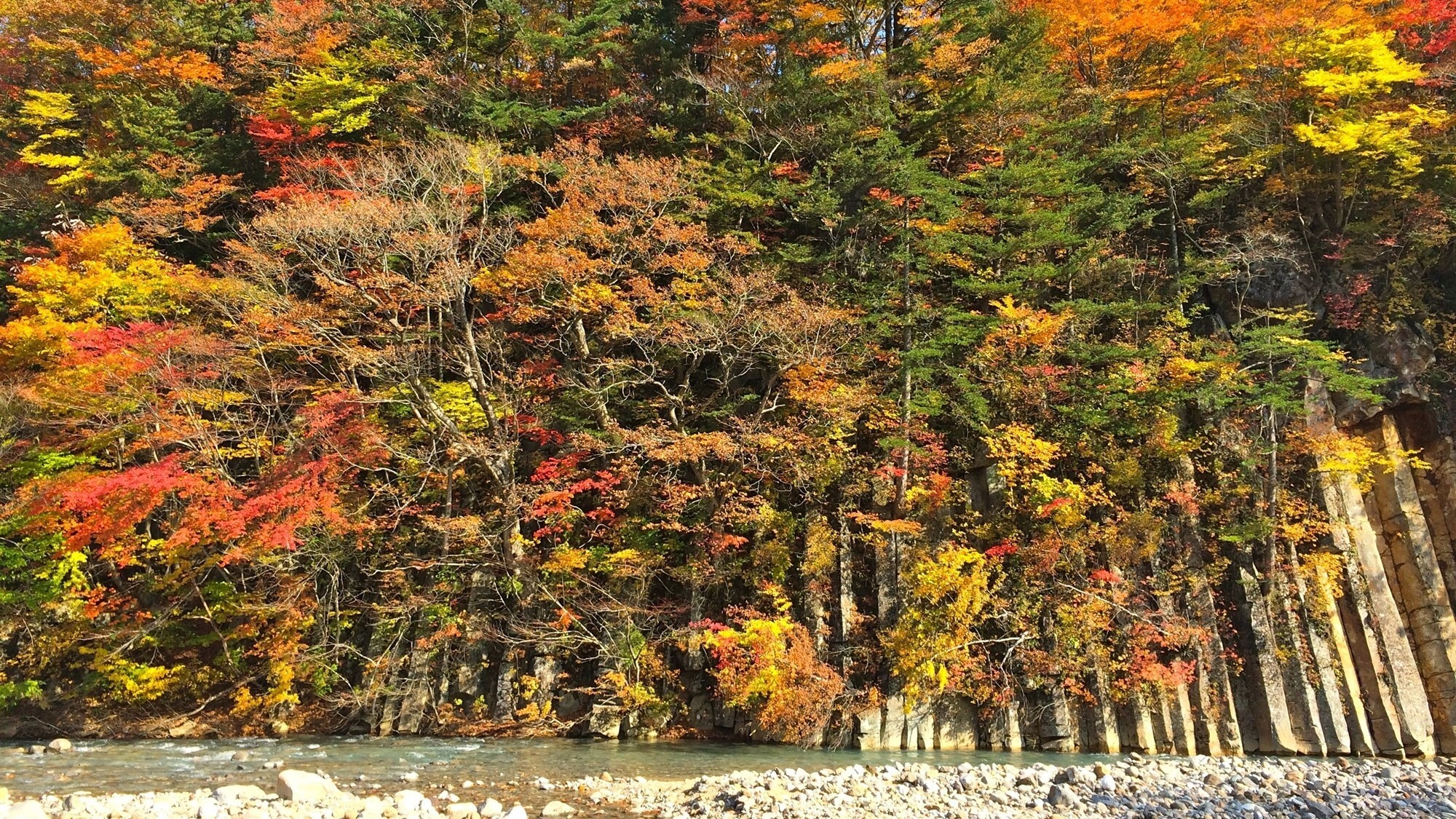 周辺観光│八幡平（車で約25分）