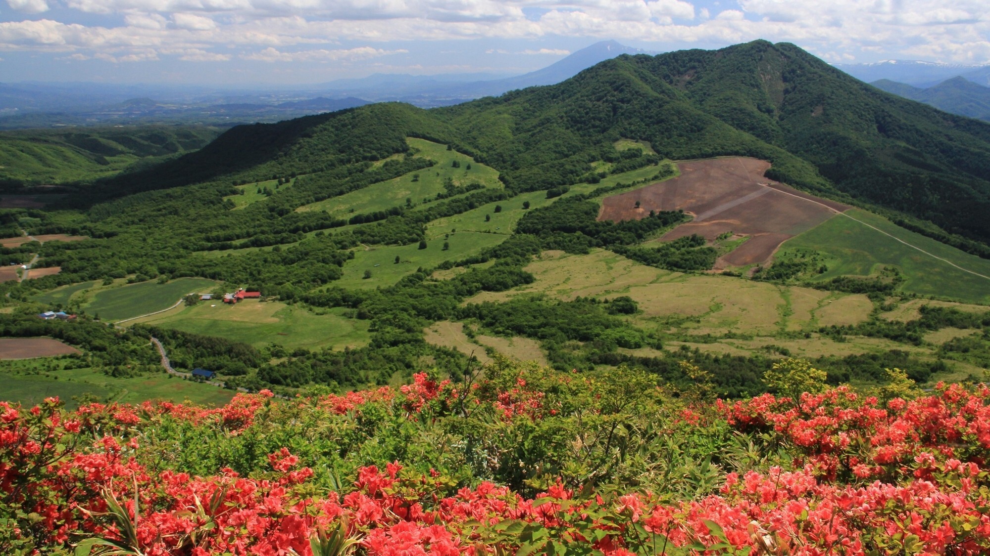 周辺観光│八幡平市 七時雨山（車で約25分）