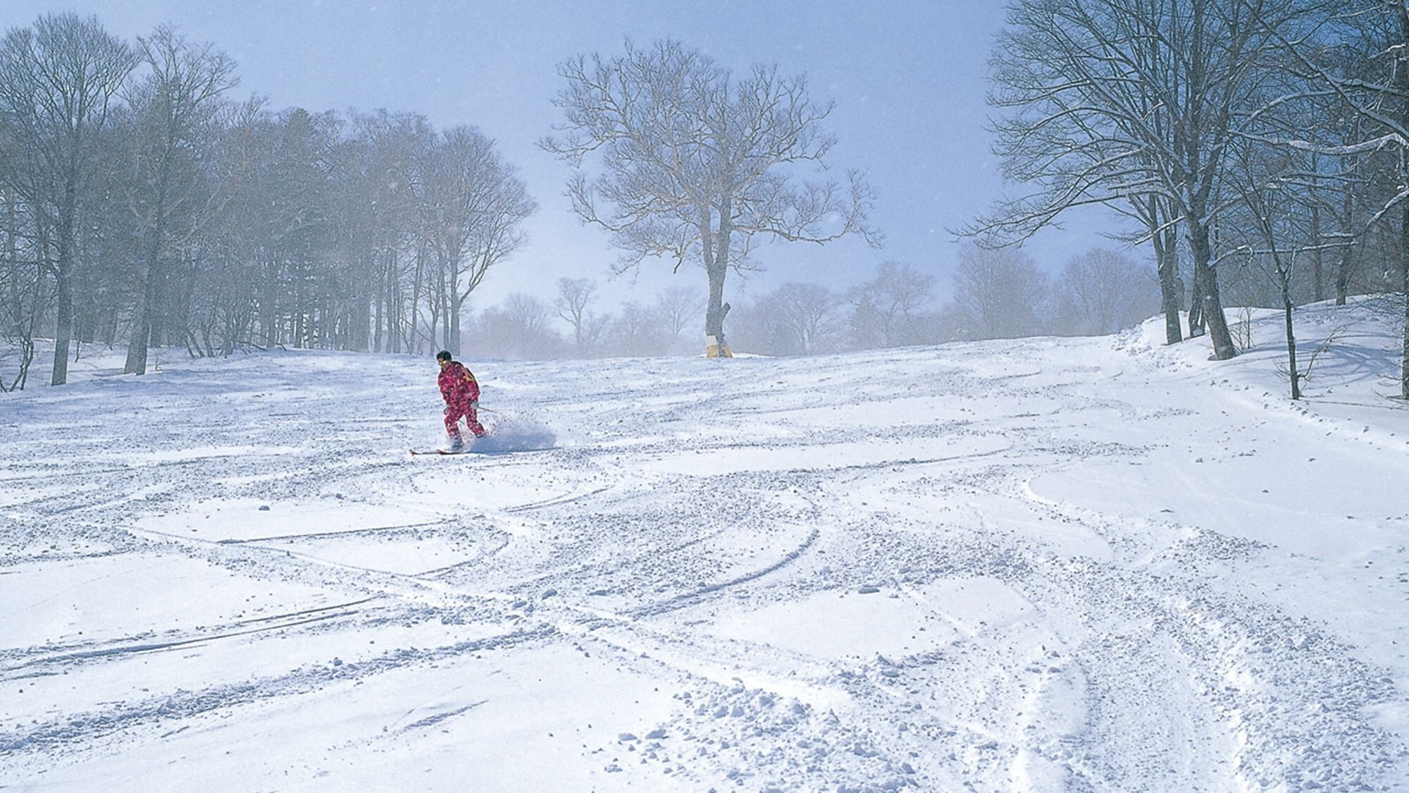 周辺観光│八幡平リゾートスキー場（車で約25分）