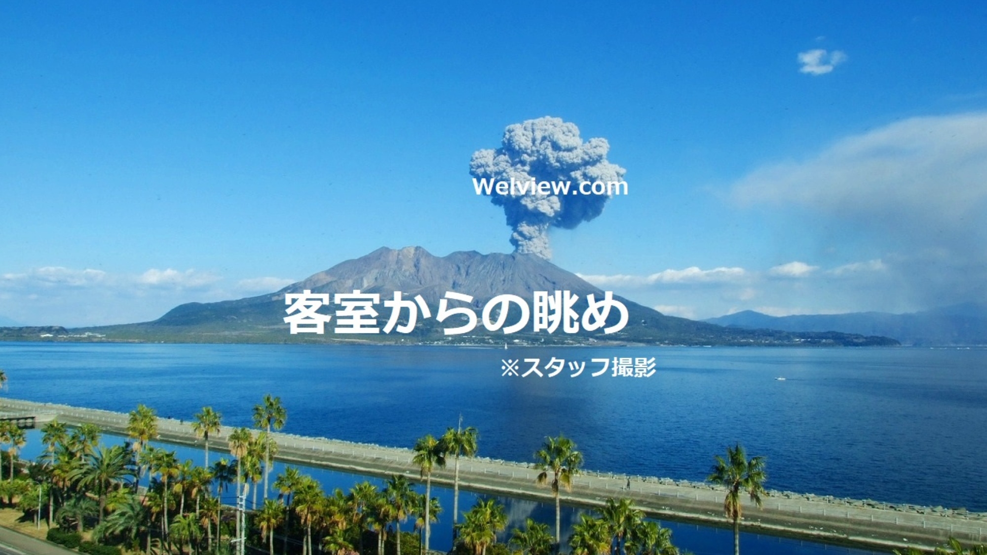 【25周年記念プラン】シンプルステイ♪天然温泉とサウナで癒されよう◆無料朝食付◆