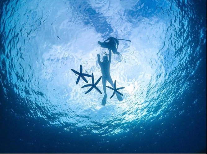 【宮城海岸ダイビング体験】[初心者歓迎]“サンゴのお花畑”へ♪【専属スタッフがご案内】