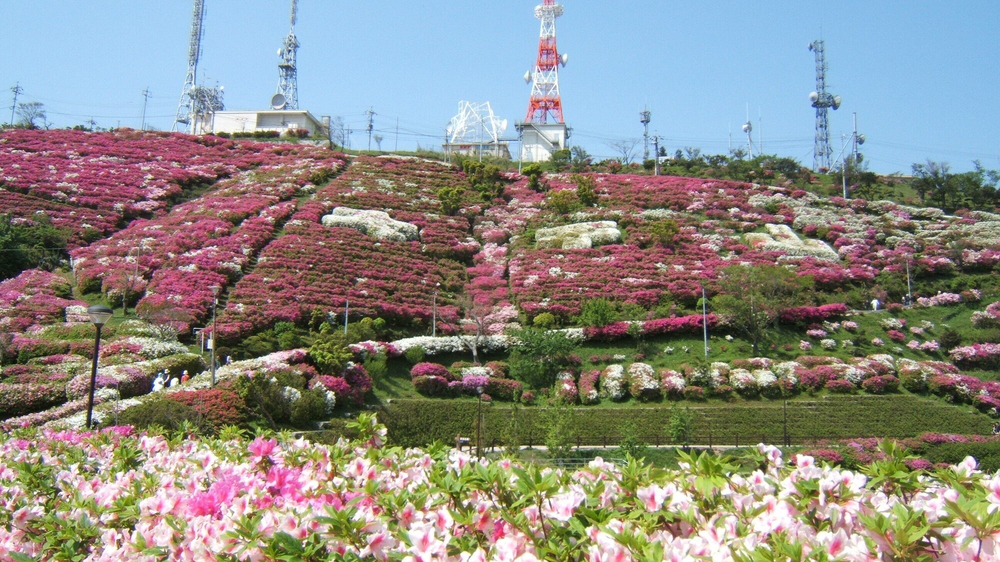 大平山山頂公園