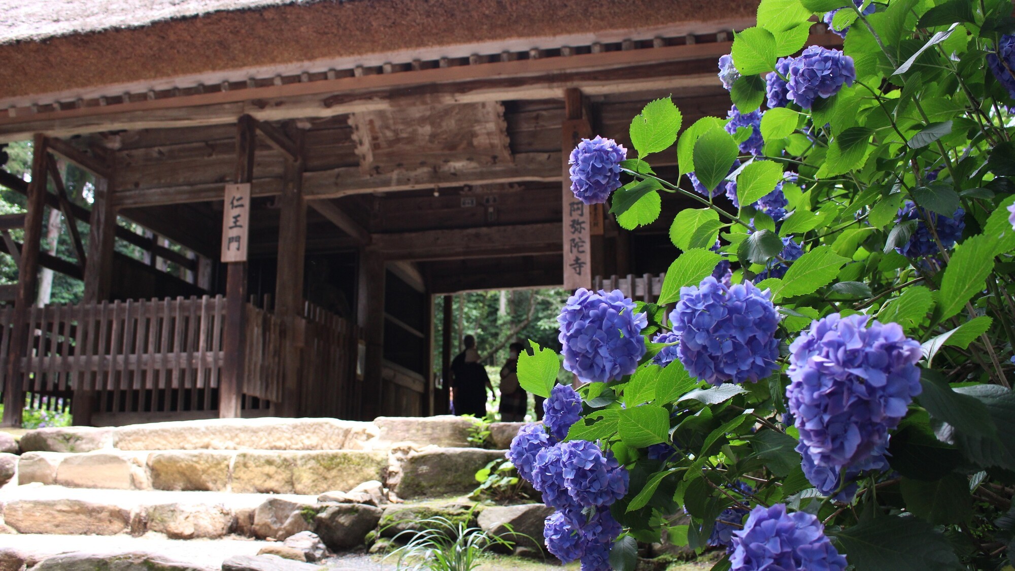 東大寺別院阿弥陀寺 02