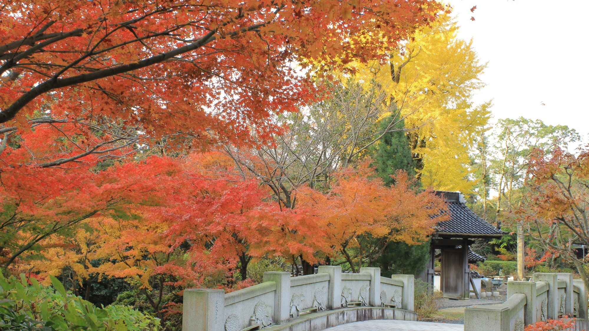 東大寺別院阿弥陀寺 03