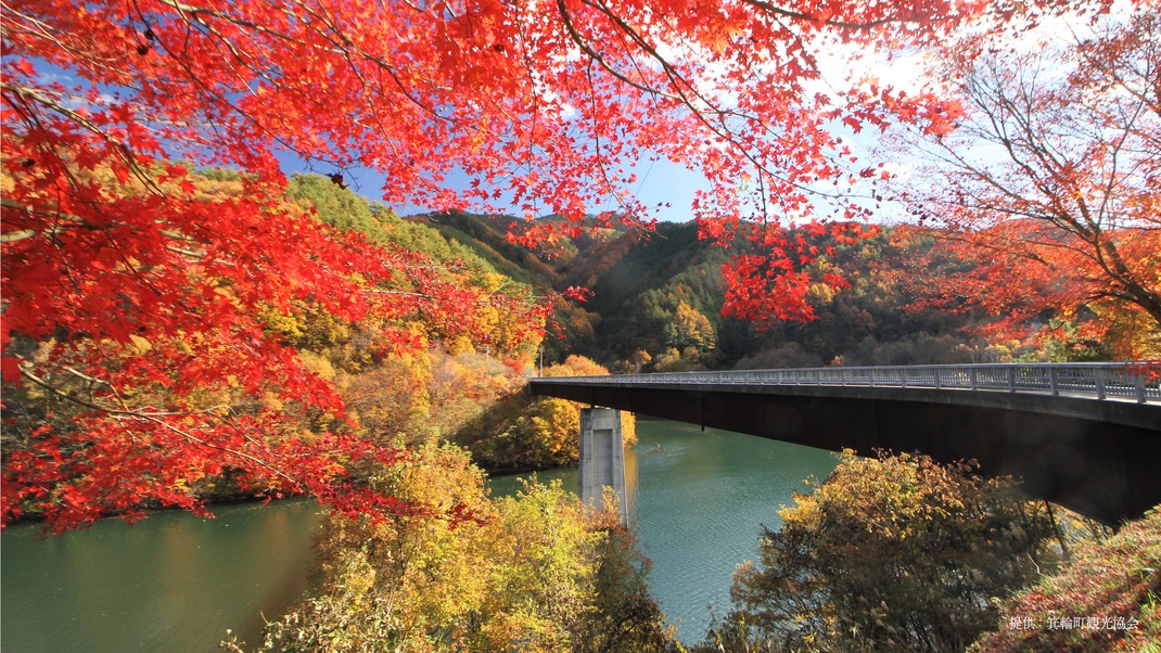 信州紅葉巡りのおすすめコース　1泊2食付+ハーフバイキング付きプラン