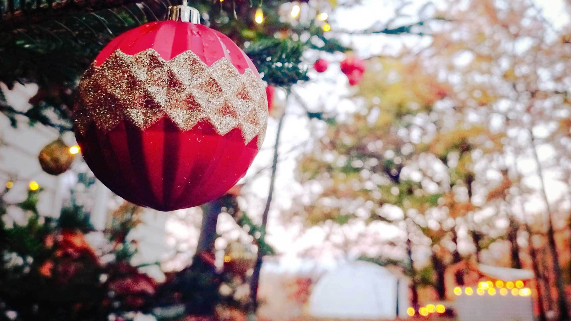 【クリスマスプラン】12/18-25限定★チキン＆ケーキ＆ワイン付の豪華ディナーで特別な夜（2食付）
