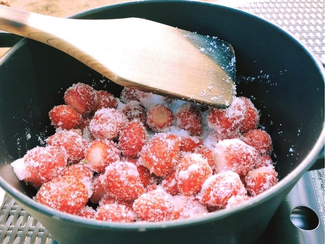 【3月限定★いちごジャム作り体験付】冬の栃木ならではのお楽しみ♪ご家族やカップルで楽しんで（2食付）