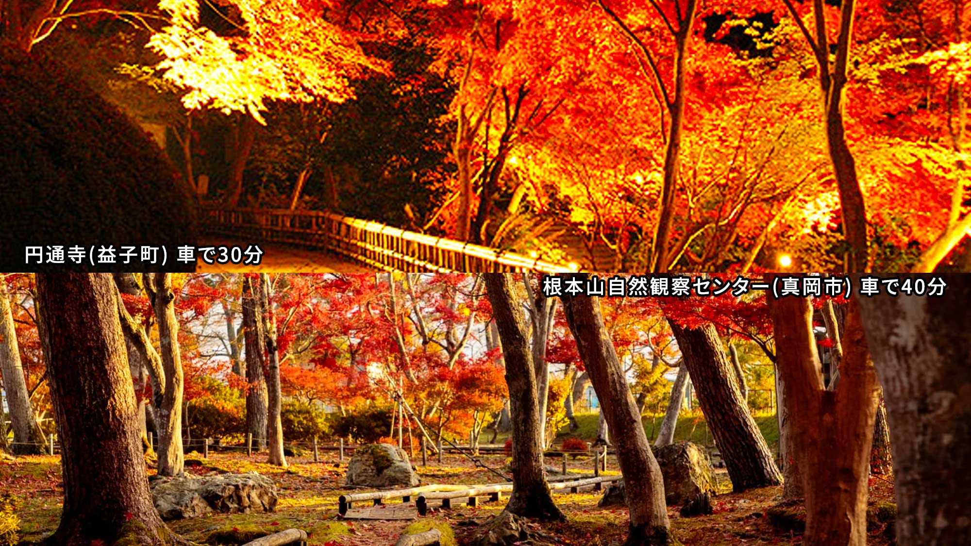 【紅葉スポット】円通寺(益子町)車で30分／根本山自然観察センター(真岡市)車で40分