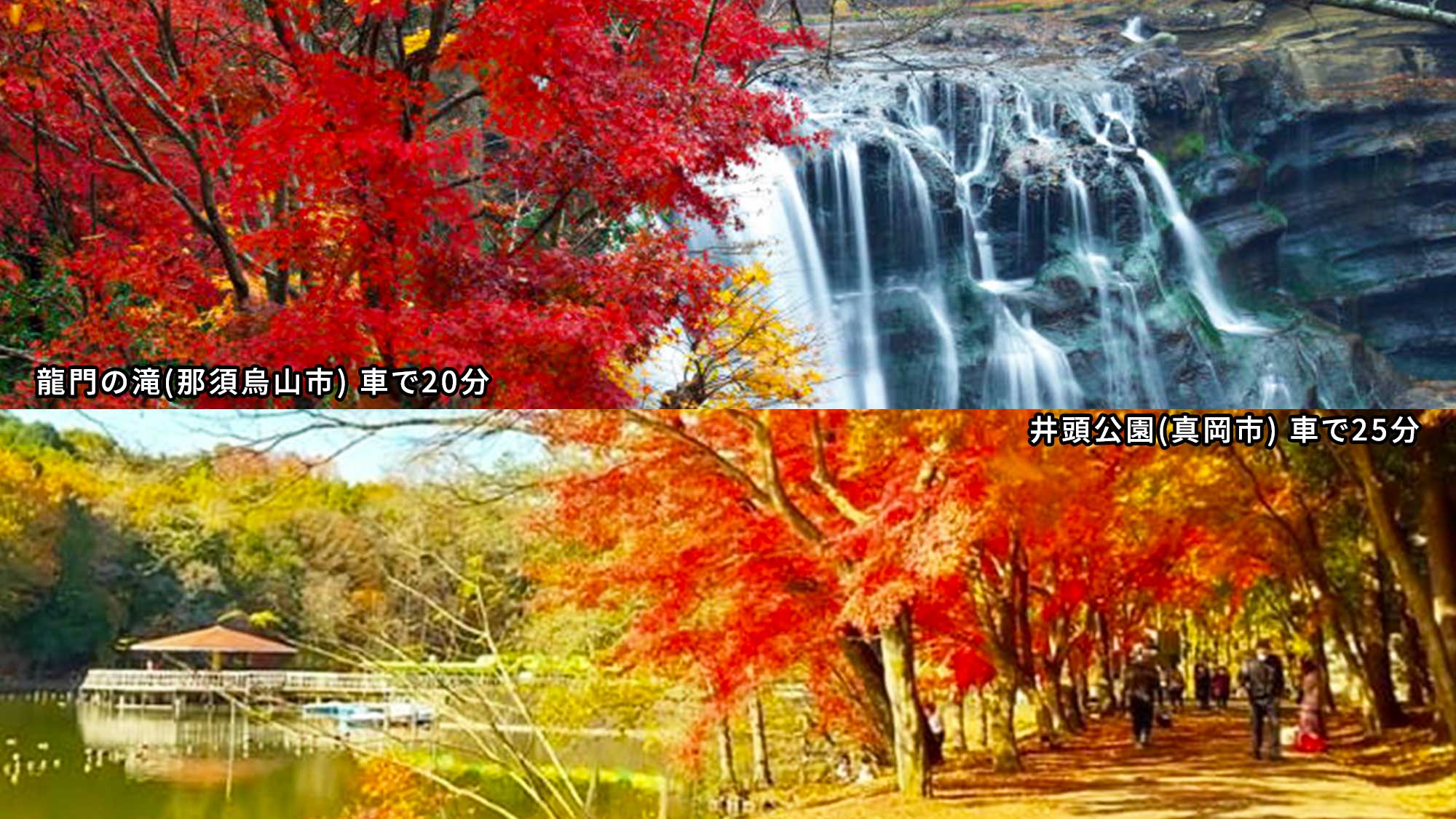 【紅葉スポット】龍門の滝(那須烏山市)車で20分／井頭公園(真岡市)車で25分