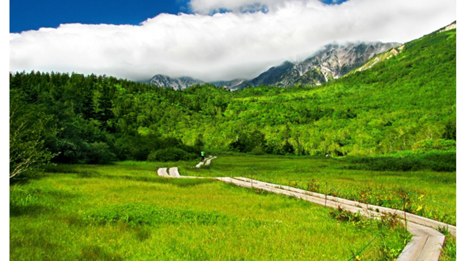 【グリーン/素泊り】＜連泊限定＞ビジネス・長期滞在歓迎♪当館を拠点に白馬乗鞍高原の四季を感じよう