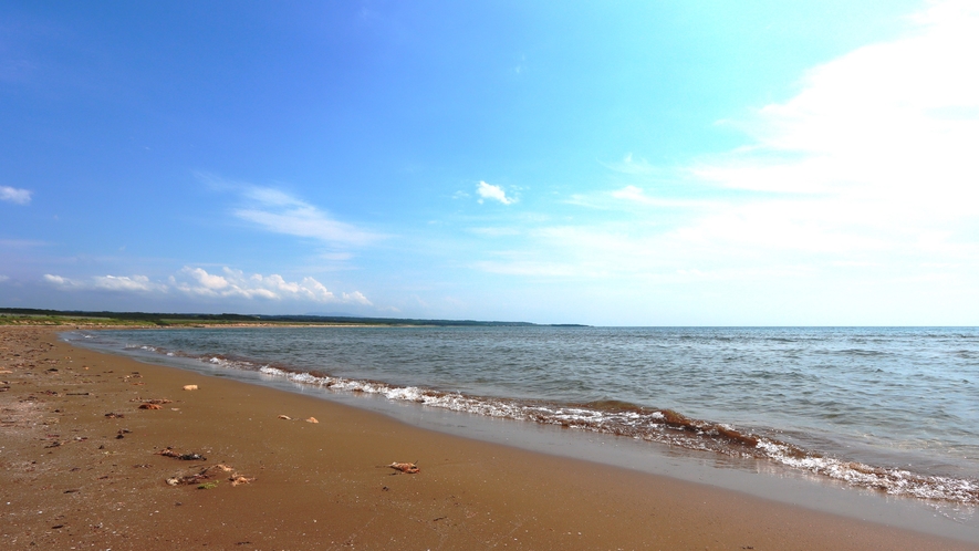 周辺：大島海岸は遠浅で透明度の高い砂浜の美しい海岸です♪