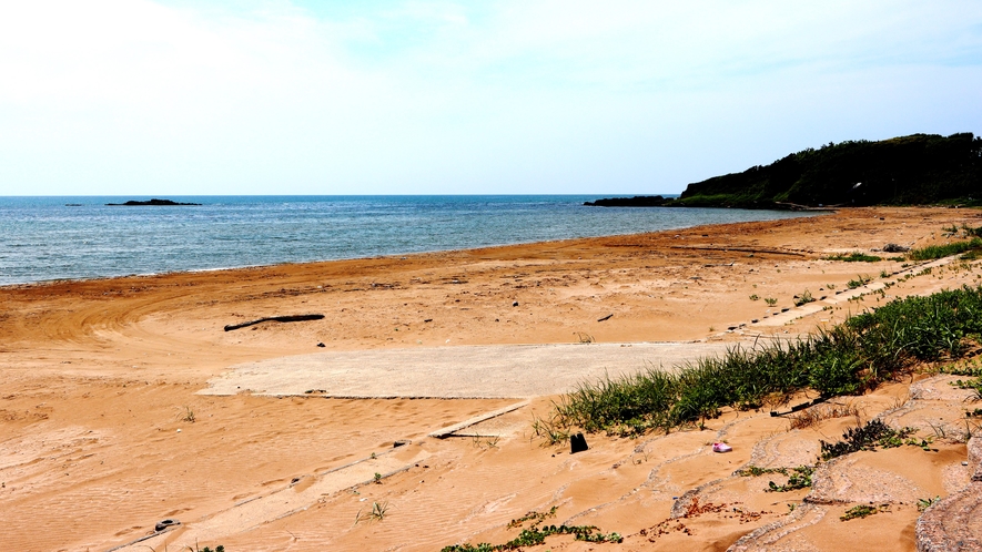 周辺：大島海岸は透明度が高く砂浜の美しい海岸です。