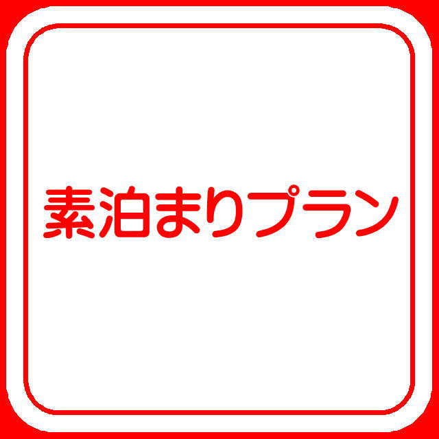 素泊まりプラン♪気軽にシンプルステイ♪