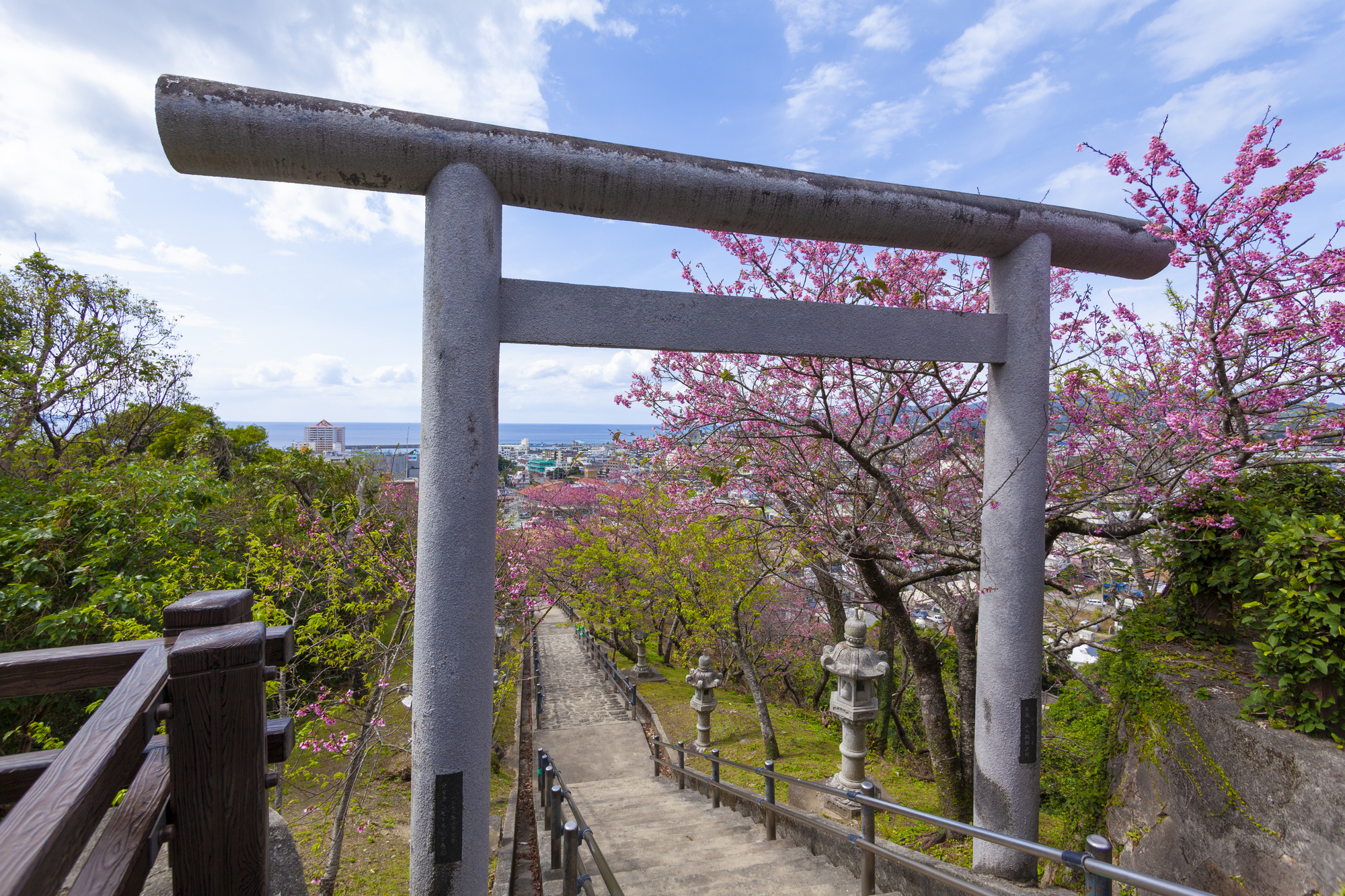 名護城公園