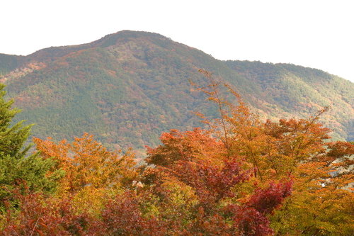 ホテル外観（紅葉）