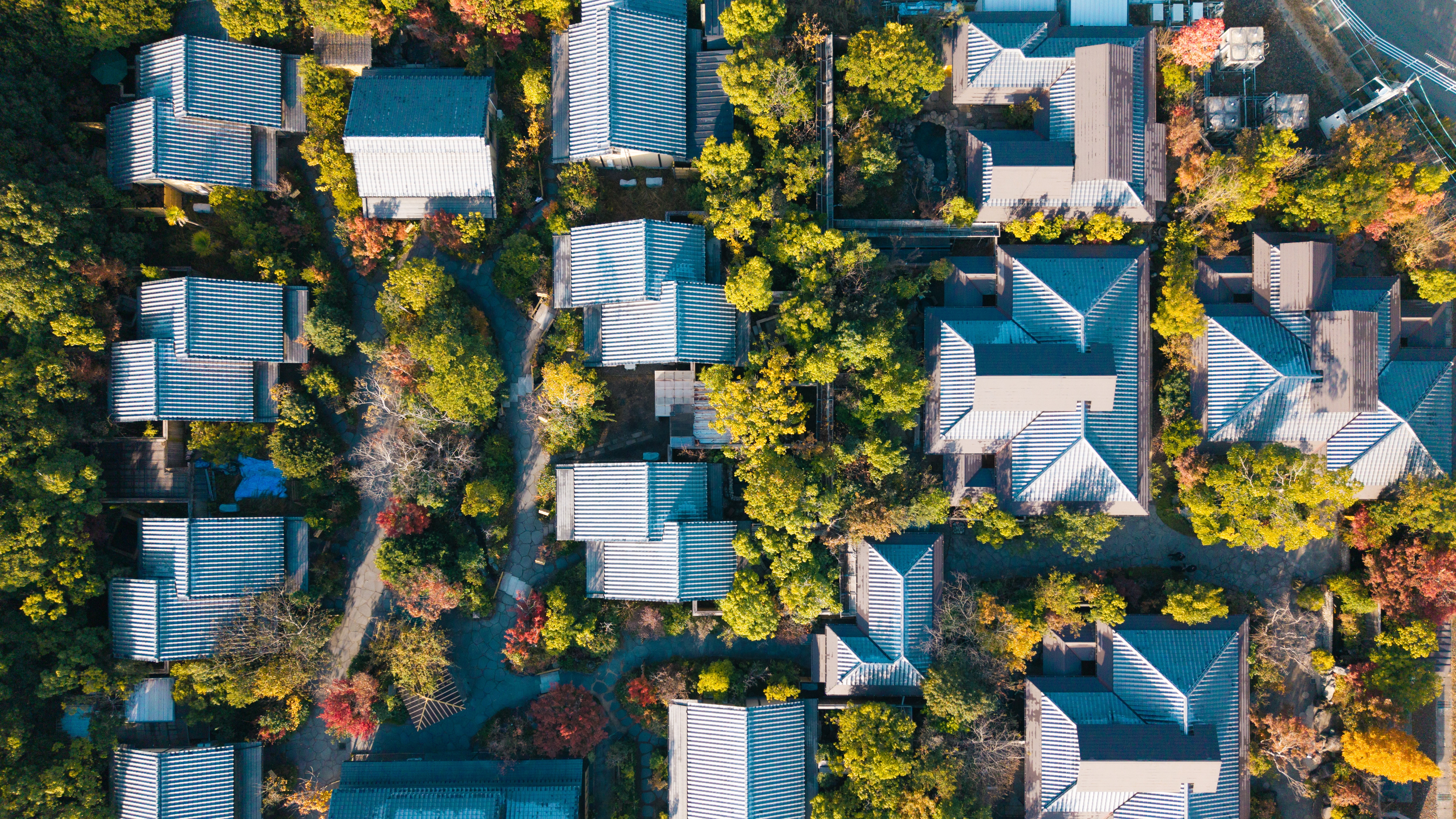 湯けむりと緑に癒される、静寂と癒しの温泉宿。