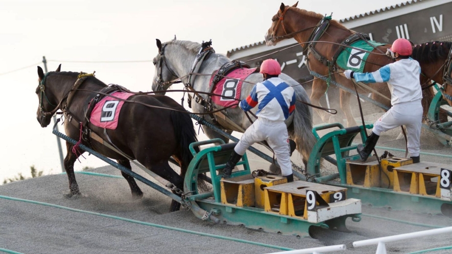 【ばんえい競馬】世界で唯一『ばんえい競馬』は帯広でしか見られない！1トンの馬の迫力を真近で！