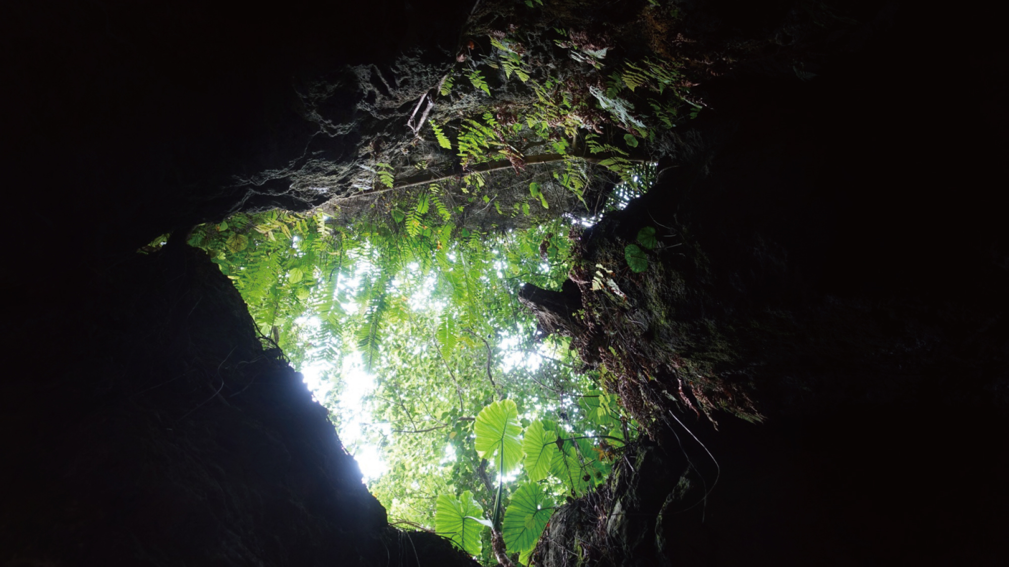 周辺観光‗CAVE-OKINAWA(ケイブオキナワ)