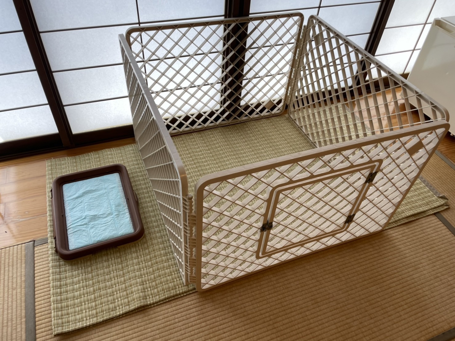 【ペットと一緒にお食事】夕食もペットとお部屋で♪《お弁当部屋食》で愉しむ一日｜ペット用おつまみ付き