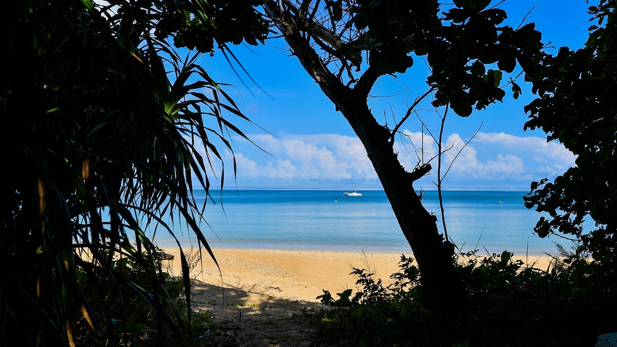 4連泊以上限定10％OFFでお得に滞在　＜素泊りプラン＞