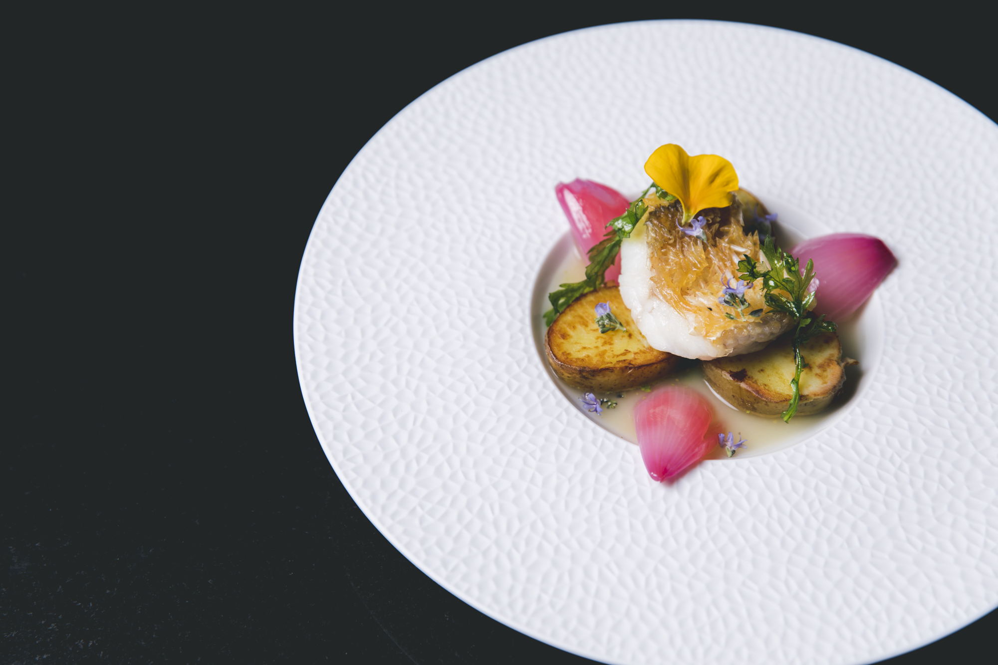 お料理イメージ