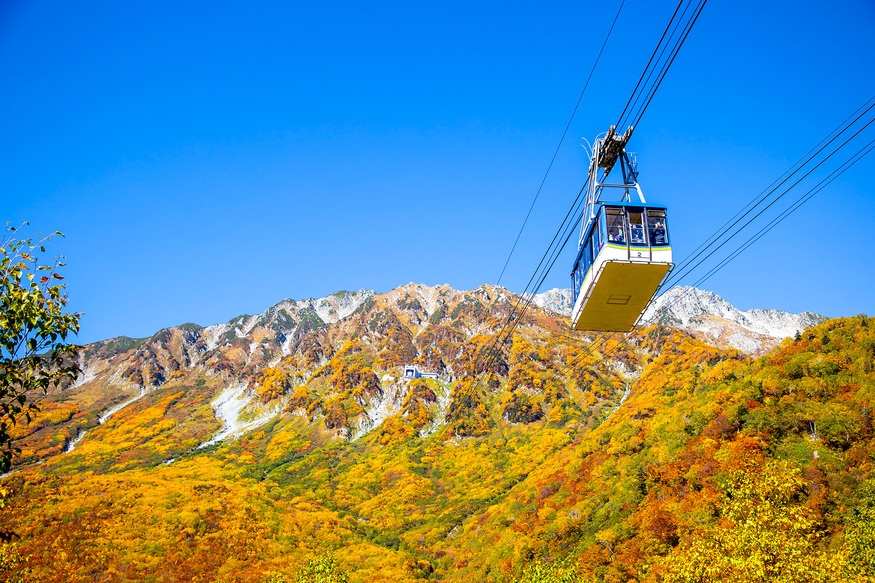 【宿泊日前日１３時まで日程変更可能】天候、紅葉状況に合わせて白馬、安曇野、黒部ダム、信州の紅葉満喫！