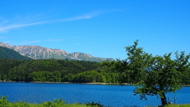 【朝食付】たっぷり遊んで朝はゆったりと！