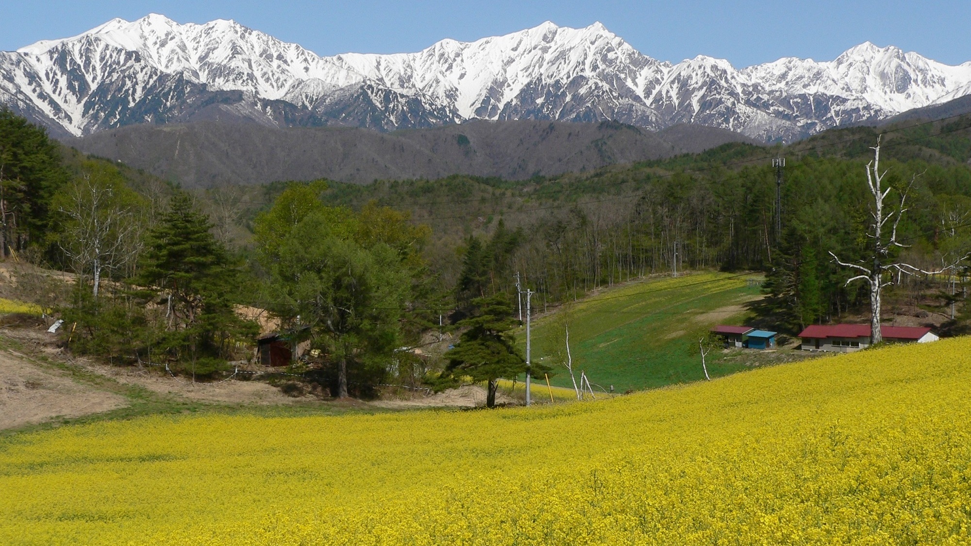 ■周辺の観光地／中山高原（春）