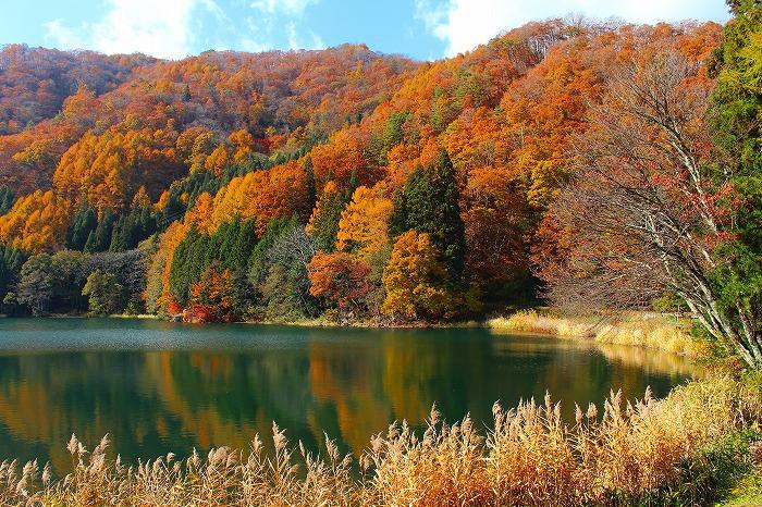 ホテル周辺の景観／中綱湖の秋