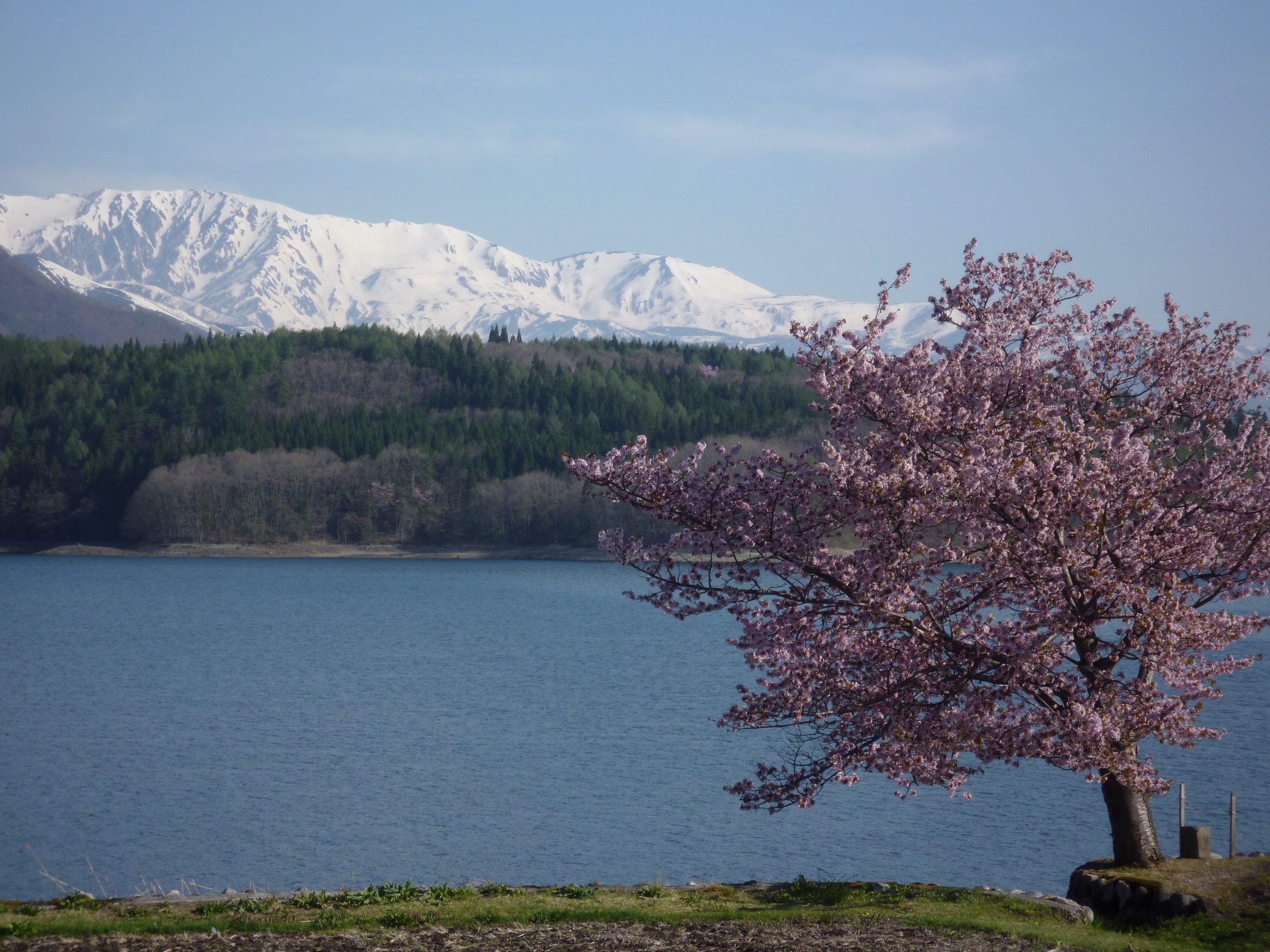 ■周辺の観光地／青木湖（４月下旬～５月上旬）