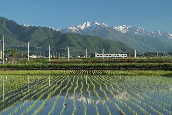 ホテル周辺の景観／大糸線と田園風景
